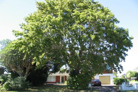 Photo of property in 1/36 Shakespeare Road, Milford, Auckland, 0620