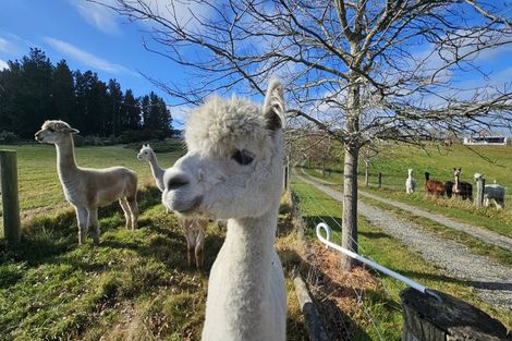 Photo of property in 626 Carrs Road, Loburn, Rangiora, 7472