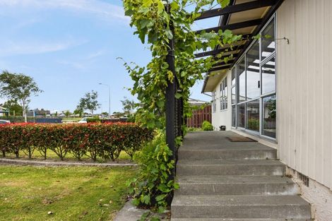 Photo of property in 12 Essex Street, Tamatea, Napier, 4112