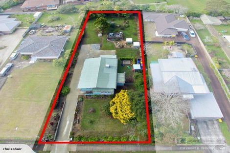 Photo of property in 52 Newington Road, Henderson, Auckland, 0612