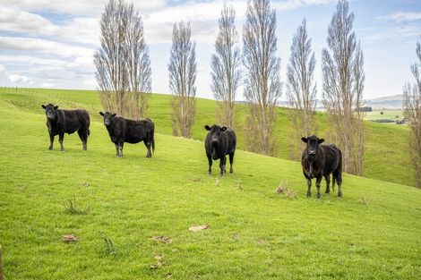 Photo of property in 226 Ongaonga Road, Waipawa, 4272