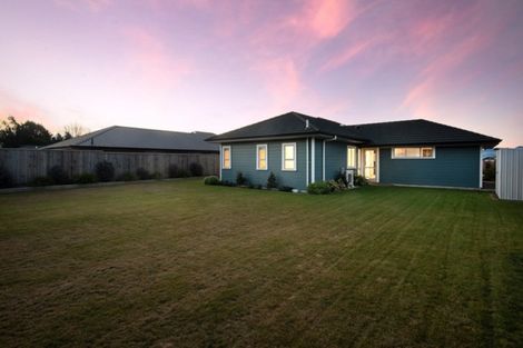 Photo of property in 5 Laird Street, Witherlea, Blenheim, 7201