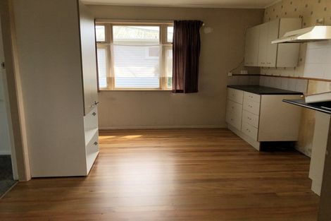 Photo of property in 82 Tiro Tiro Road, Levin, 5510