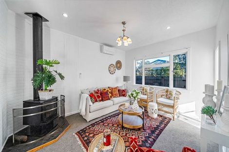 Photo of property in 113 Ruskin Street, Addington, Christchurch, 8024