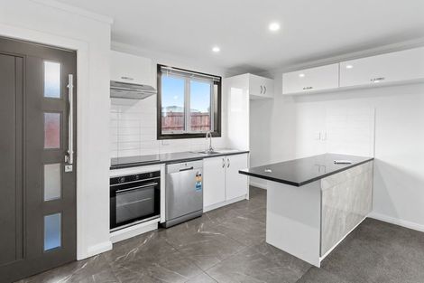 Photo of property in 87a Tiro Tiro Road, Levin, 5510