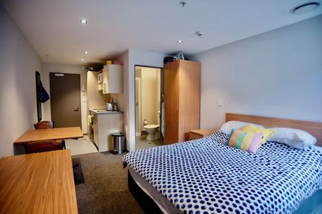 Photo of property in Dual Apartments, 108/142u Vivian Street, Te Aro, Wellington, 6011