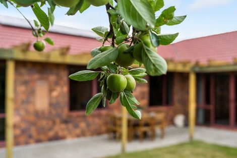 Photo of property in 20 Glentui Place, Waikawa, Picton, 7220