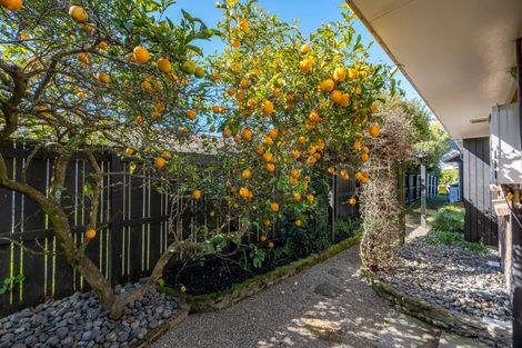 Photo of property in 1 Jean Place, Pukete, Hamilton, 3200