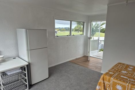 Photo of property in 12 Lincoln Place, Levin, 5510