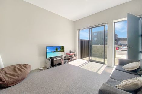 Photo of property in Aniva Terrace, 14 Arney Street, Newtown, Wellington, 6021