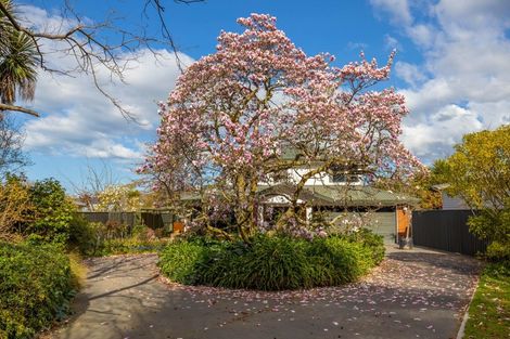 Photo of property in 105a Maxwell Road, Blenheim, 7201