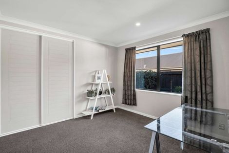 Photo of property in 19 Magnate Drive, Kaiapoi, 7630