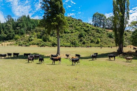 Photo of property in 407 Onamalutu Road, Onamalutu, Blenheim, 7275