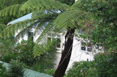 Photo of property in 49 Mortimer Terrace, Brooklyn, Wellington, 6021