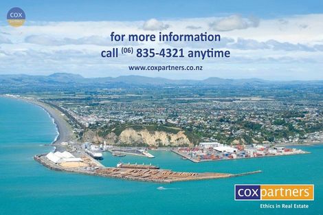 Photo of property in 19 May Avenue, Hospital Hill, Napier, 4110
