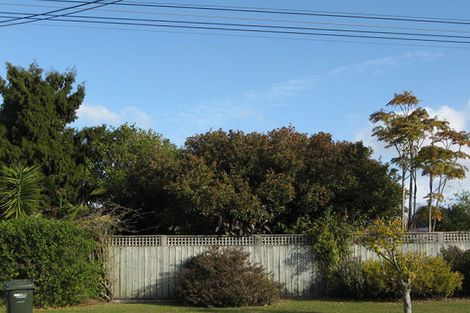 Photo of property in 161 James Street, Whakatane, 3120