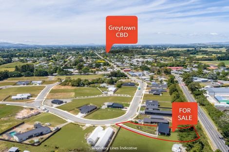 Photo of property in 19 Cotterville Crescent, Greytown, 5712