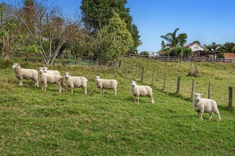 Photo of property in 281 Mccarthy Road, Waiotahe, Opotiki, 3198