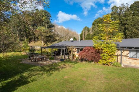 Photo of property in 213 Horahora Road, Piarere, Tirau, 3484