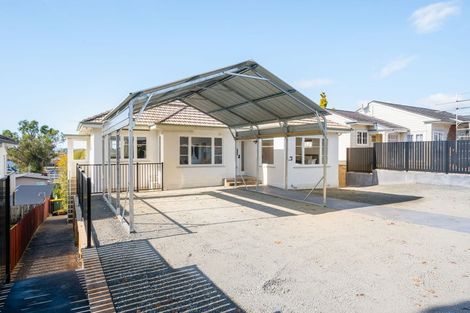 Photo of property in 87 Pembroke Street, Hamilton Lake, Hamilton, 3204