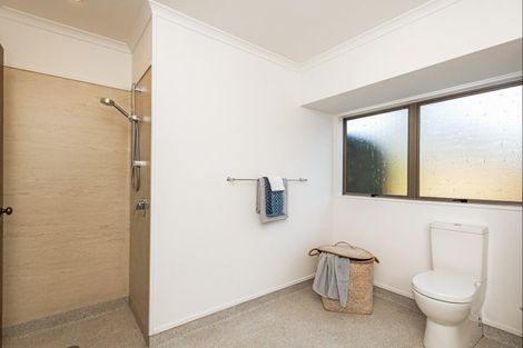 Photo of property in 74a Fitzroy Street, Terrace End, Palmerston North, 4410