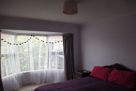 Photo of property in 17 Douglas Street, Levin, 5510