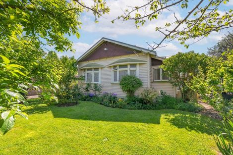 Photo of property in 1023 Frederick Street, Mahora, Hastings, 4120