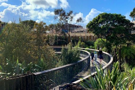 Photo of property in 11 Oioi Road, Hobsonville, Auckland, 0616