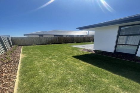 Photo of property in 56 Macphail Avenue, Rangiora, 7400