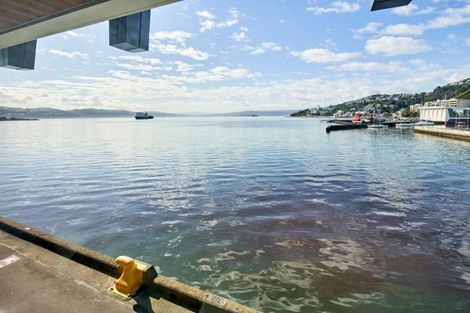 Photo of property in Clyde Quay Wharf, 1a/8 Clyde Quay Wharf, Te Aro, Wellington, 6011