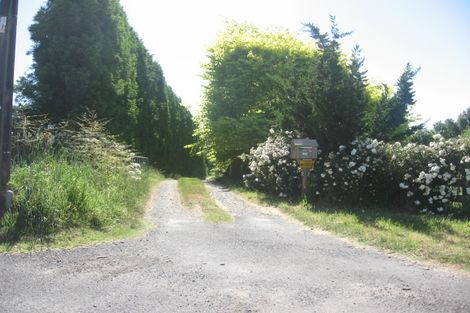 Photo of property in 434 Maniatutu Road, Pongakawa, Te Puke, 3186