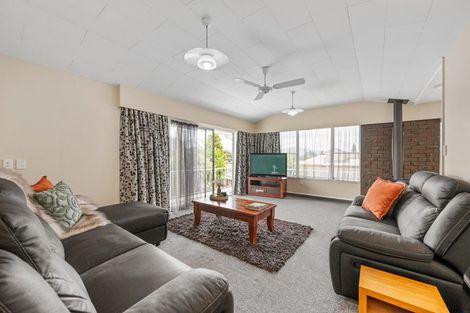 Photo of property in 41 Dillon Street, Blenheim, 7201