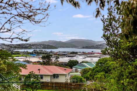 Photo of property in 17 Aparangi Crescent, Elsdon, Porirua, 5022