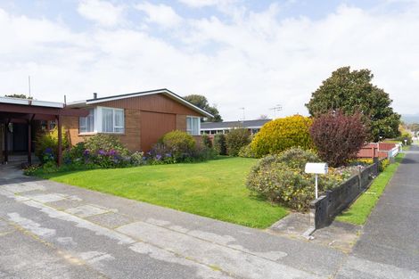Photo of property in 25 Marlborough Street, Levin, 5510