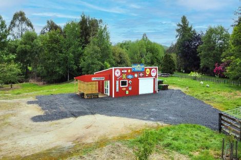 Photo of property in 161 Kawautahi Road, Owhango, 3989