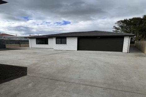 Photo of property in 3 Hutchison Crescent, Durie Hill, Whanganui, 4500