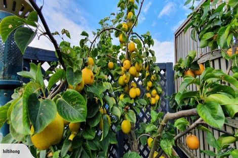 Photo of property in 40 Grimseys Road, Redwood, Christchurch, 8051