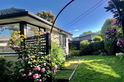Photo of property in 29 Glencoe Street, Burnside, Christchurch, 8053