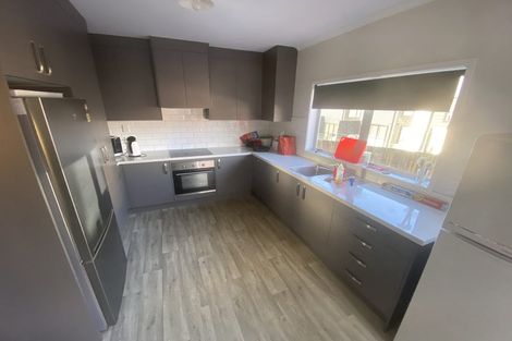 Photo of property in 103 Aurora Terrace, Hillcrest, Hamilton, 3216