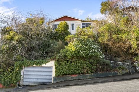 Photo of property in 15 Antrim Street, Normanby, Dunedin, 9010