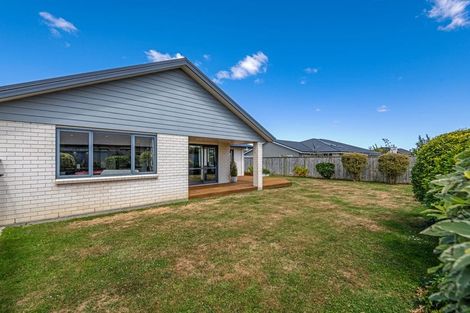 Photo of property in 19 Accolade Street, Feilding, 4702