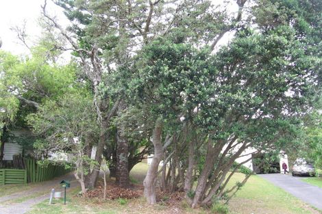 Photo of property in 40 Hellyers Street, Birkdale, Auckland, 0626