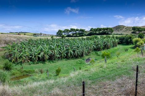 Photo of property in 410 Mahuta Road, Mahuta, Dargaville, 0371