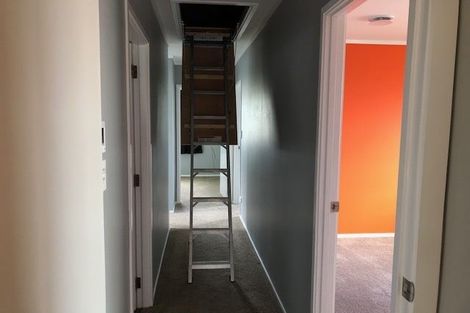 Photo of property in 17 Tree View Avenue, Glenfield, Auckland, 0629