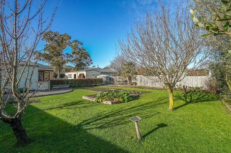 Photo of property in 5 Hutchison Street, Cheviot, 7310