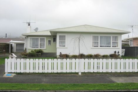 Photo of property in 48 Featherston Street, Levin, 5510