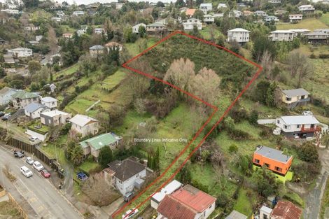 Photo of property in 117 Toi Toi Street, Toi Toi, Nelson, 7010