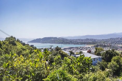 Photo of property in 5 Hornsey Road, Melrose, Wellington, 6023