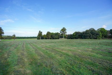 Photo of property in 348 Mason Road, Seaward Bush, Invercargill, 9871