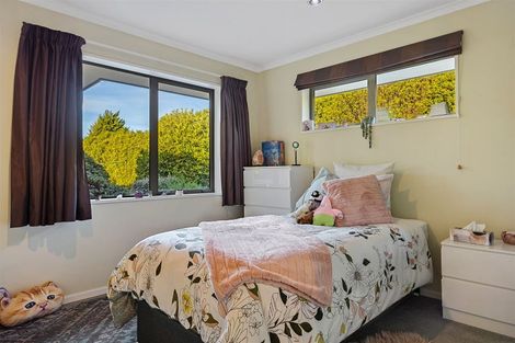 Photo of property in 19 Devine Drive, Rolleston, Christchurch, 7678